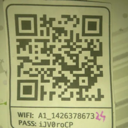 Diving In * スプリト